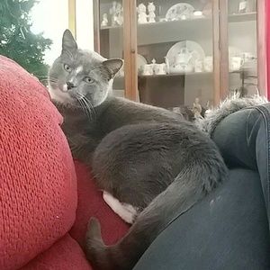 Meet your Posher, Melanie